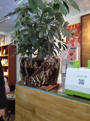 -发界studio日系沙龙