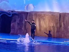 -华夏文旅海洋公园