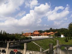 -三水森林公园
