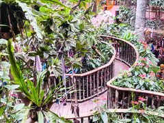 -正佳雨林生态植物园