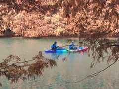 -上海海湾国家森林公园