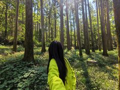 -波尔登森林公园