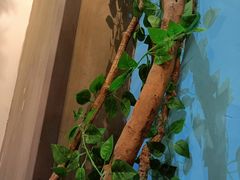 -湘当爱·鲜煮现炒(松岗立业路店)