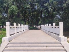 -万泉公园