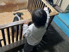 -嘉兴海底世界