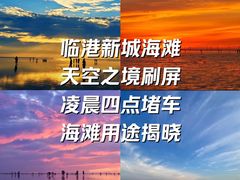 -南汇新城海滩