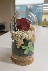 -杭州贝瑞斯美华国际月子中心