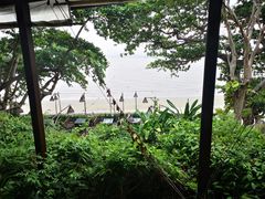 -卷心菜和避孕套餐厅(Pattaya)