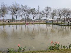 -盈香心动乐园