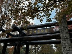 -杭州植物园