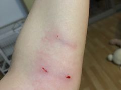 -多乐狗狗宠物训练工作室
