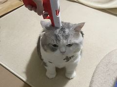 -DON DON DONKI(名珠城店)