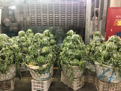 -江杨农产品批发市场