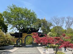 -红梅公园