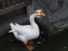 -苏州碑刻博物馆