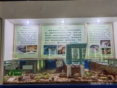 -上海昆虫博物馆