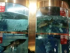 -蜀滋香鲜鱼美蛙火锅(339店)