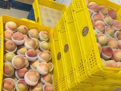 -老袁家蜜桃农场·阳山水蜜桃