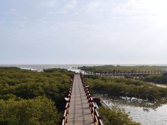 -北海金海湾红树林生态旅游区