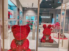 -ROSEONLY诺誓(国际广场购物中心店)