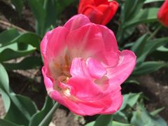 -长春公园(普阳街道)