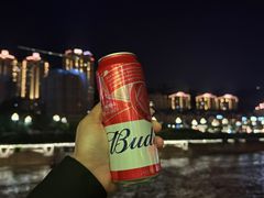 -重庆两江夜游-金碧系列