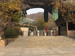 -石老人观光园