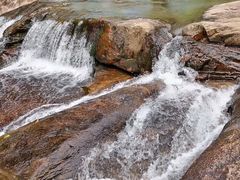 -广州白江湖森林公园