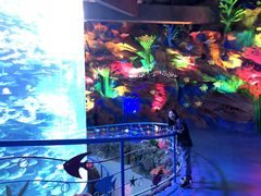 -泉城欧乐堡海洋极地世界