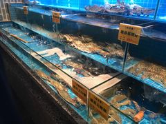 水产区-海味世家·家常菜馆(明州里店)