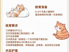 -瑞鹏宠物医院•异宠•宠保定点•流浪定点救助宠物医院(青祁店)