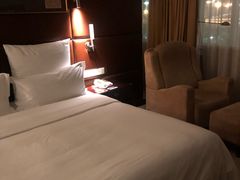 -广州白云机场雅高铂尔曼大酒店