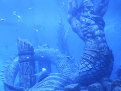 -哈尔滨波塞冬海底世界