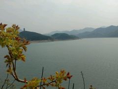 -望湖烤鱼