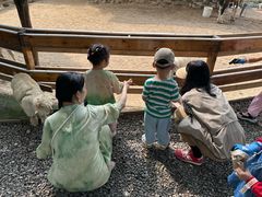 -HERRE·FARM 赫尔露营农场·团建聚会包场