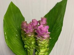 -鹍记特色牛杂面