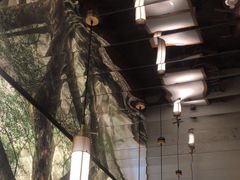-大榕树下顺德菜(融创茂店)