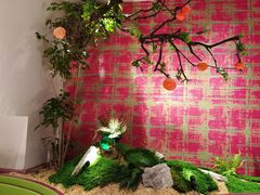 -九鼎轩脆毛肚火锅(三钢里店)