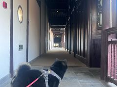 -苏州文旅花间堂·探花府酒店