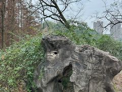 -重庆彩云湖湿地公园
