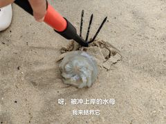 -碧桂园十里银滩