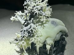 -深圳珠宝博物馆