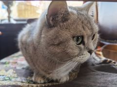 -不舍昼夜咖啡馆