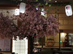 -汤泉良子(金源店)