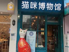 -猫咪博物馆(顶澳仔猫街店)