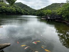 -白马涧龙池景区