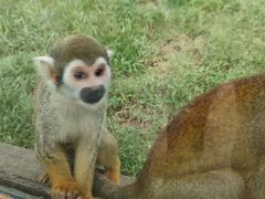 -石家庄市动物园