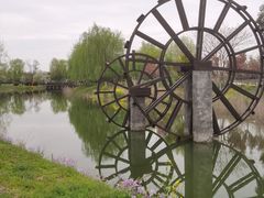 -泗洪洪泽湖湿地景区