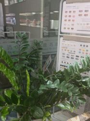 点击看大图 -露德瑪麗科技美肤·美迪迈·华熙生物