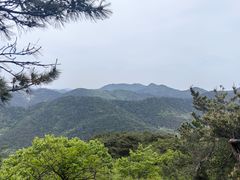 -大连金龙寺国家森林公园-售票处